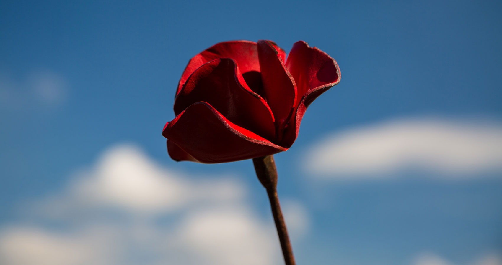 Lest We Forget, written by Matthew Earl at Spillwords.com