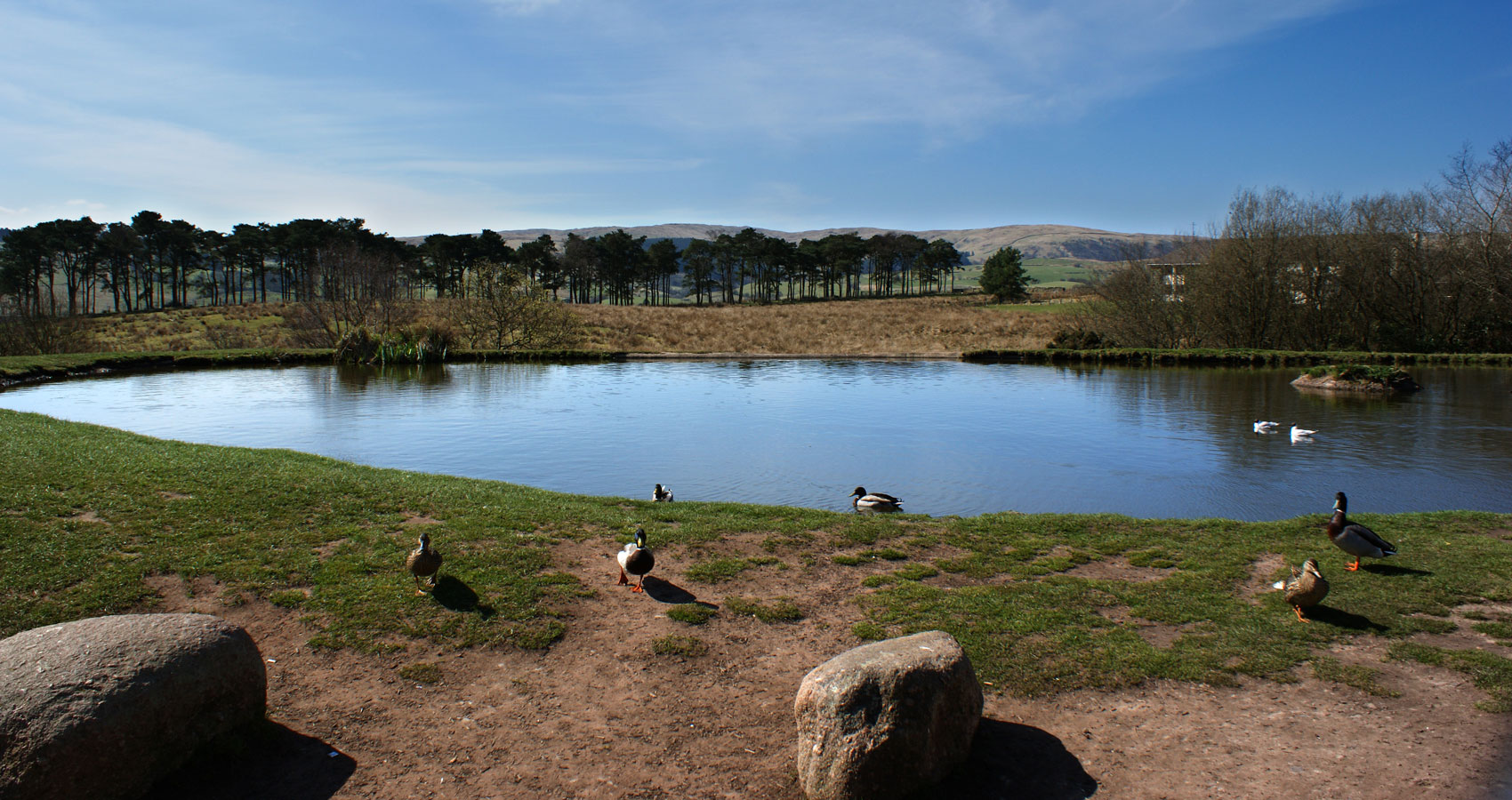Tebay Services Southbound by Matthew Roy Davey at Spillwords.com