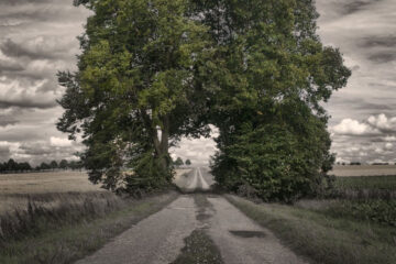 The Long Road, written by Fallen Engel at Spillwords.com