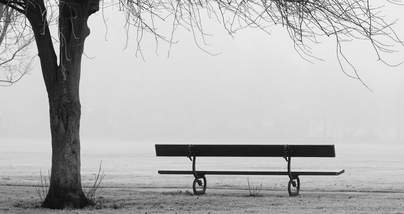 Park Bench, written by Eoghan Lyng at Spillwords.com