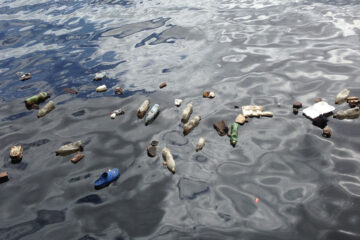 Ode To The Plastic Ocean, by Unna Chokkalingam at Spillwords.com