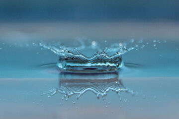 Riposte, a poem written by William Carlos Williams at Spillwords.com