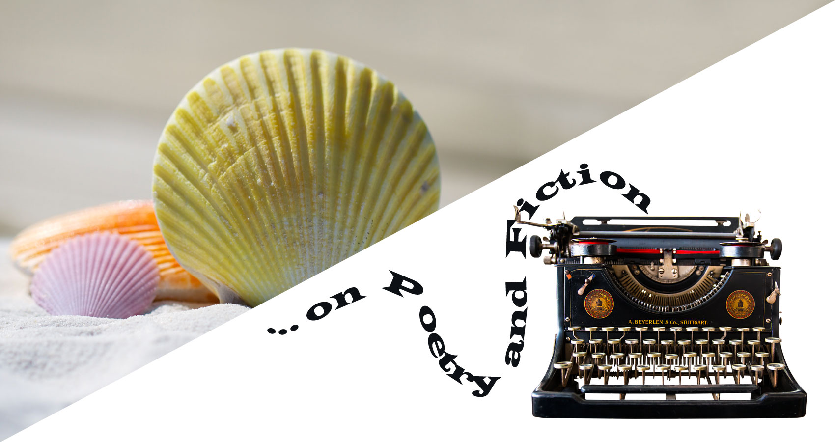 ...on Poetry and Fiction - Just “One Word” Away ("SEASHELLS") written by Phyllis P. Colucci at Spillwords.com