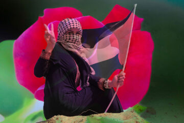 A Rose For Gaza, a poem written by Lynn White at Spillwords.com