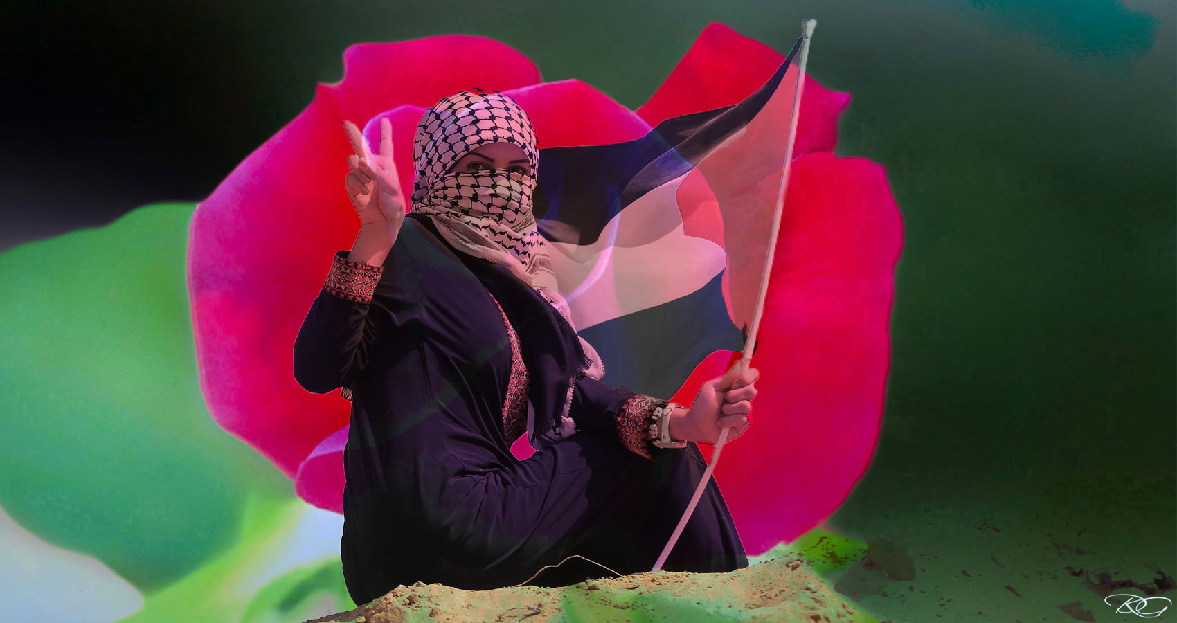 A Rose For Gaza, a poem written by Lynn White at Spillwords.com