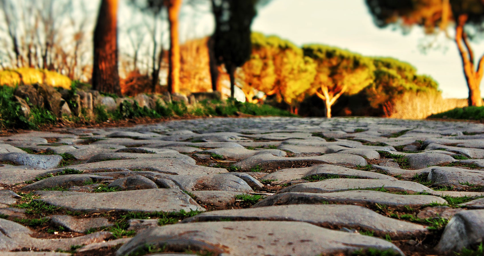 All Roads Lead To Rome, a poem written by lulia Halatz at Spillwords.com