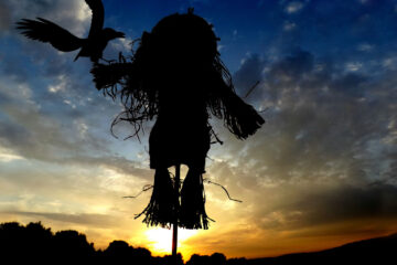 Crucify The Scarecrow, written by Terry Miller at Spillwords.com