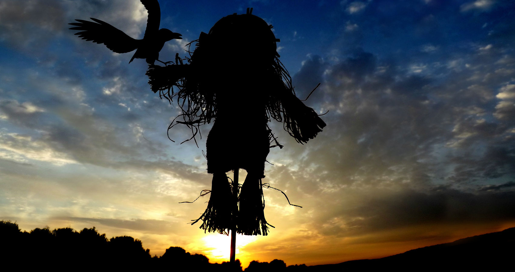 Crucify The Scarecrow, written by Terry Miller at Spillwords.com