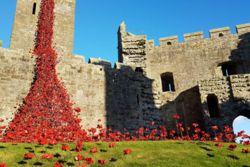 Poppies On Ludlow Castle, poetry by Willa Cather at Spillwords.com