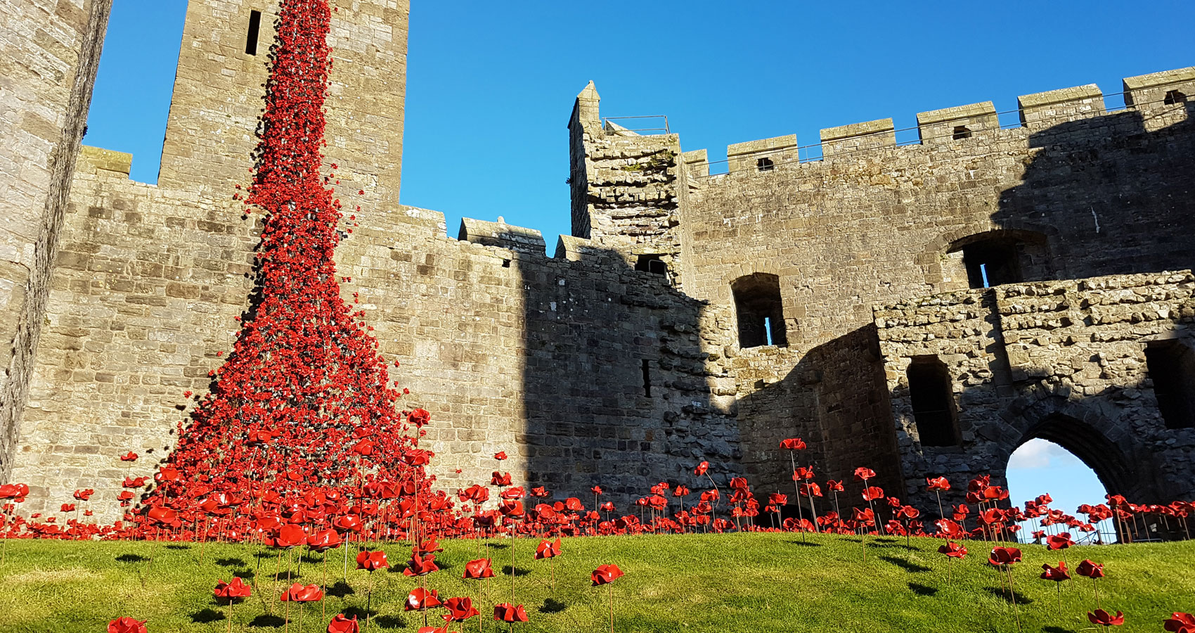 Poppies On Ludlow Castle, poetry by Willa Cather at Spillwords.com