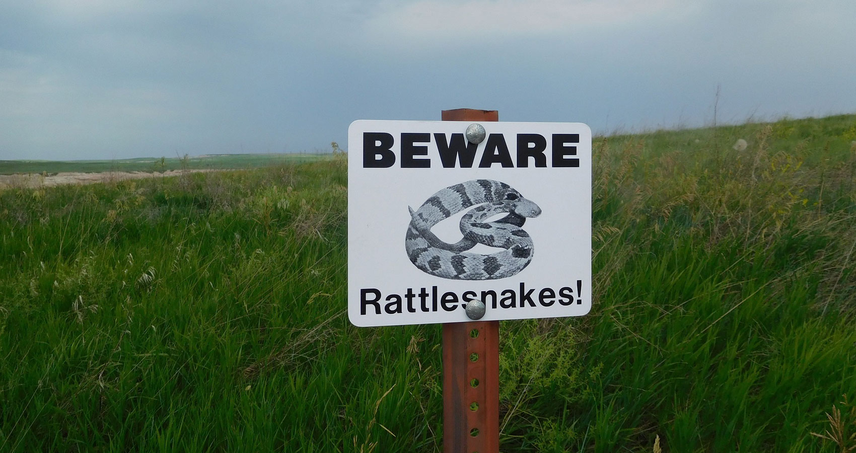 Rattlesnake, a haiku written by Cindy Medina at Spillwords.com