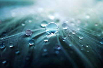 There Will Be Soft Rains, a poem by Sara Teasdale at Spillwords.com