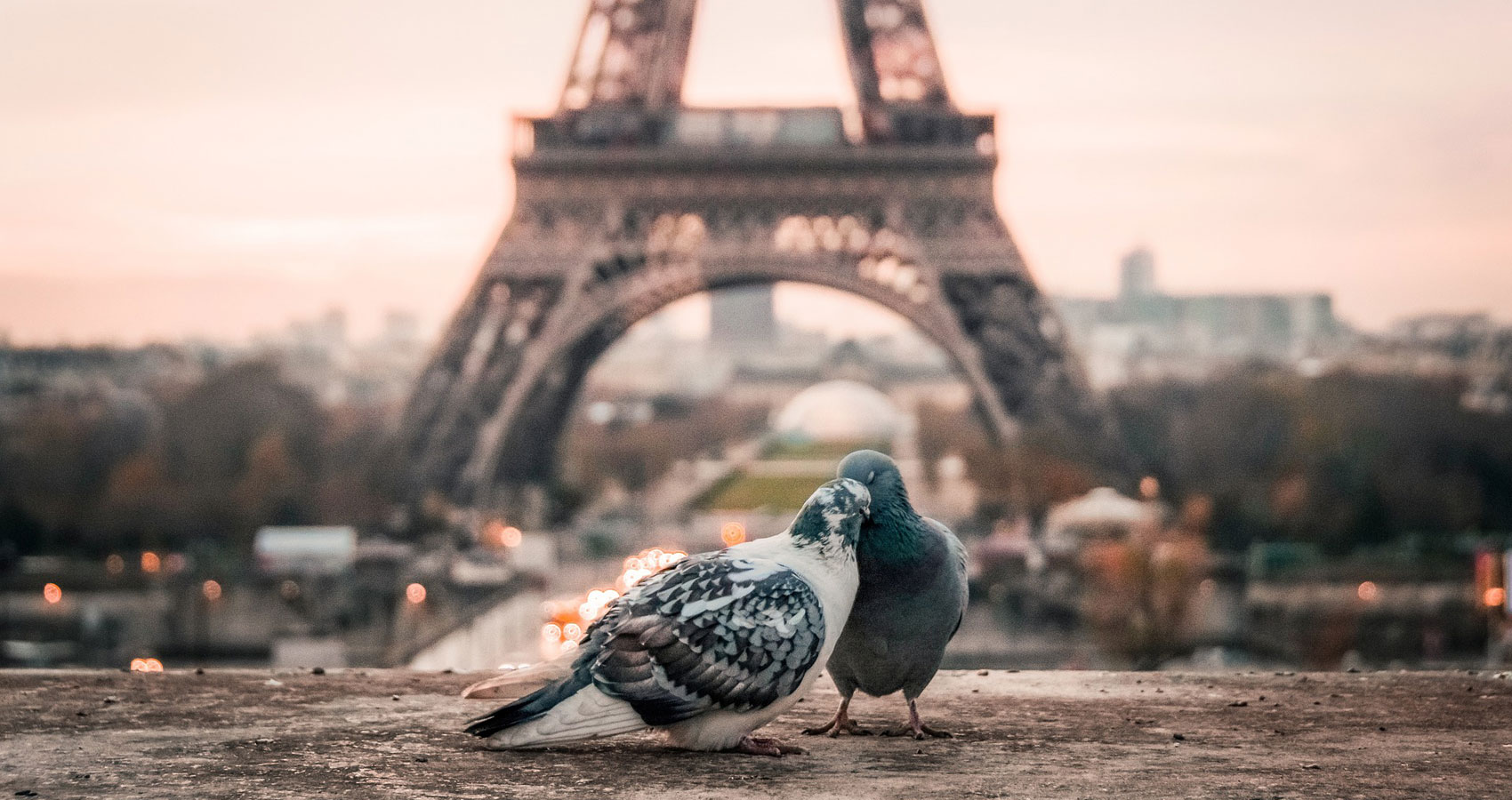 This Is Paris, a poem written by Barbara Deraoui at Spillwords.com