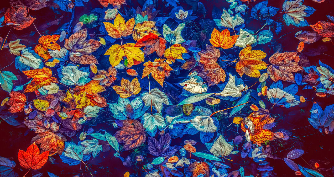 To Autumn, a poem written by John Keats at Spillwords.com