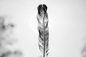 Light As A Feather, poetry written by Debbie Aruta at Spillwords.com