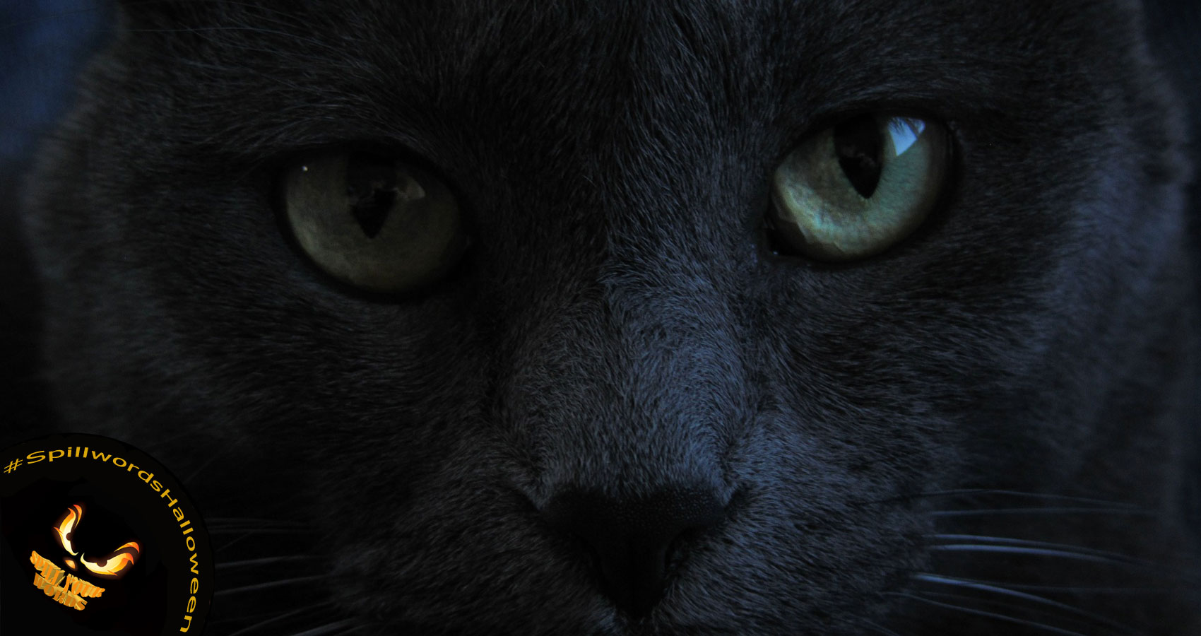 The Dark Kitty, micropoetry by Edward Donnelly at Spillwords.com