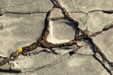 Cracked Concrete Can Still Grow Weeds, prose by Kerri Caldwell at Spillwords.com