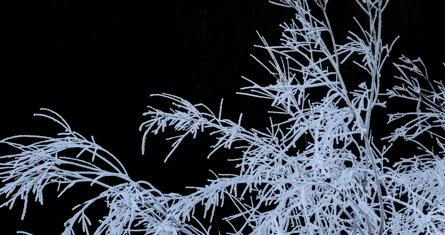 frost at midnight poem