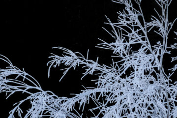 Frost At Midnight, a poem by Samuel Taylor Coleridge at Spillwords.com