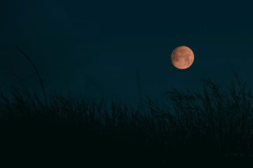 The Harvest Moon by Henry Wadsworth Longfellow at Spillwords.com