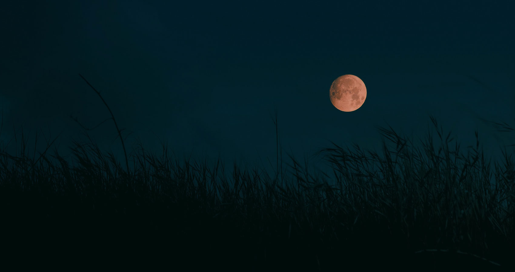 The Harvest Moon by Henry Wadsworth Longfellow at Spillwords.com