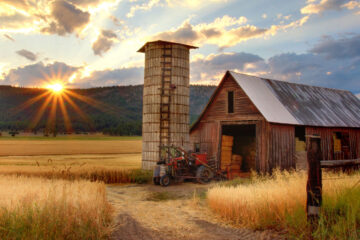 Country Likes Hit, poetry written by Marius Surleac at Spillwords.com