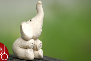 I WANT A BABY ELEPHANT FOR CHRISTMAS. poetry by Dianne Moritz at Spillwords.com