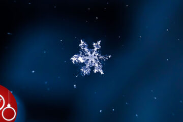 The Little Snowflake, a poem by Francesco Abate at Spillwords.com