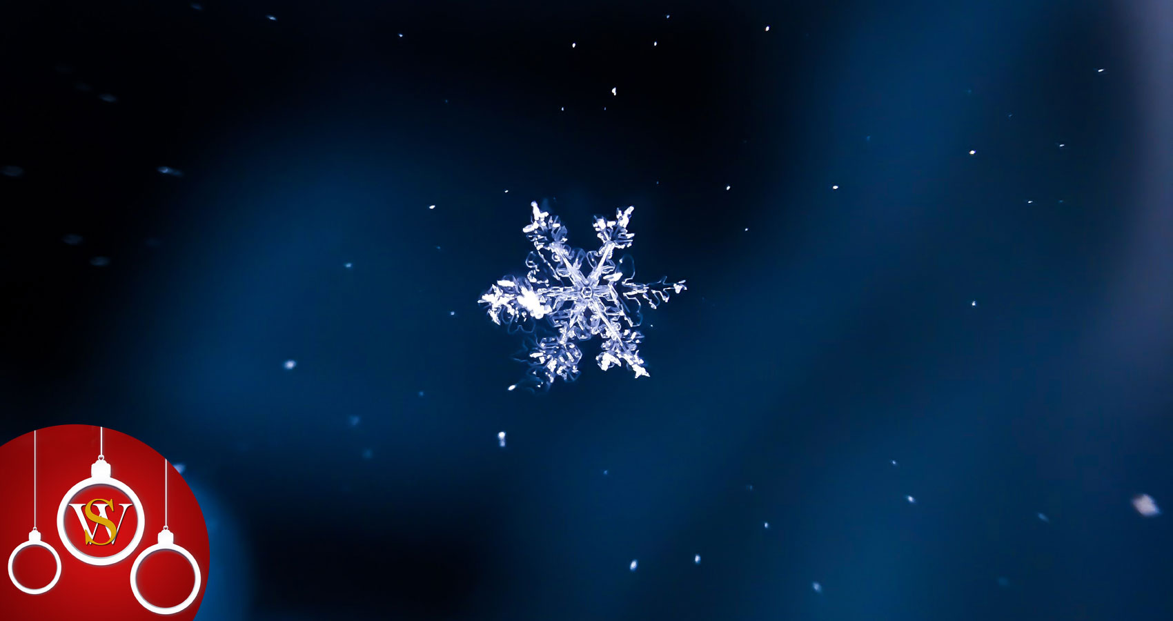 The Little Snowflake, a poem by Francesco Abate at Spillwords.com