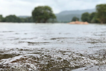 After The Floods, poetry by Dr. MOLLY JOSEPH at Spillwords.com