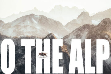 To The Alps, flash fiction by Matthew Roy Davey at Spillwords.com