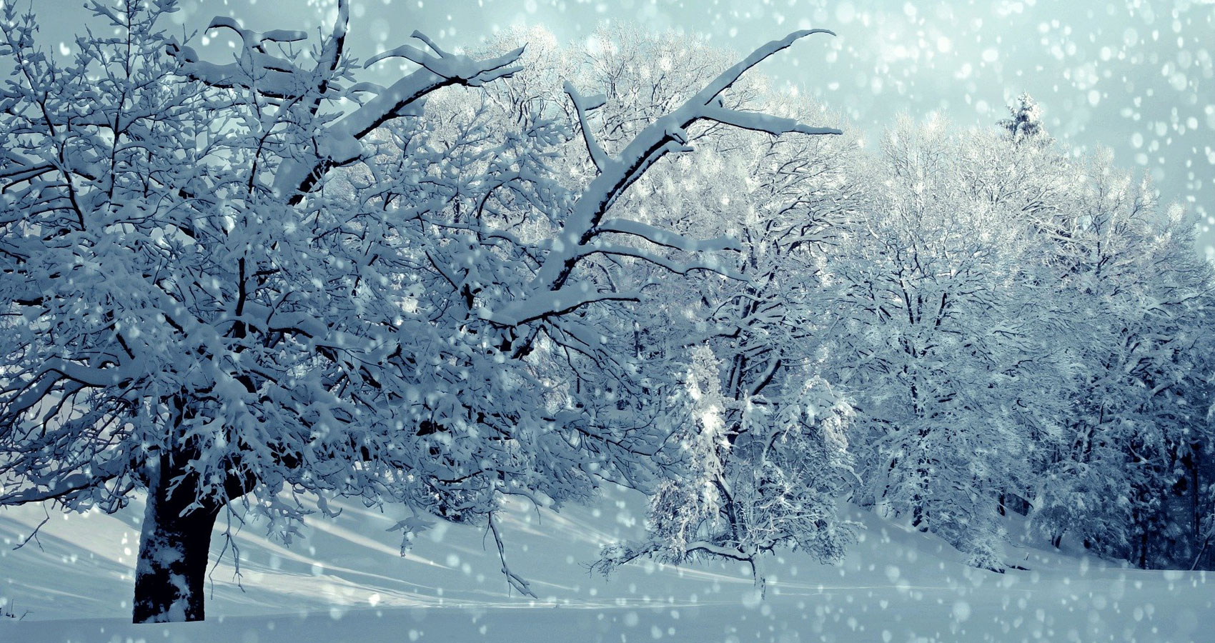 Winter Magic, poetry written by JOHN BAVERSTOCK at Spillwords.com