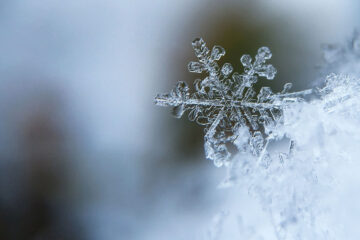 Winter's Purity, poetry written by Boris Simonovski at Spillwords.com