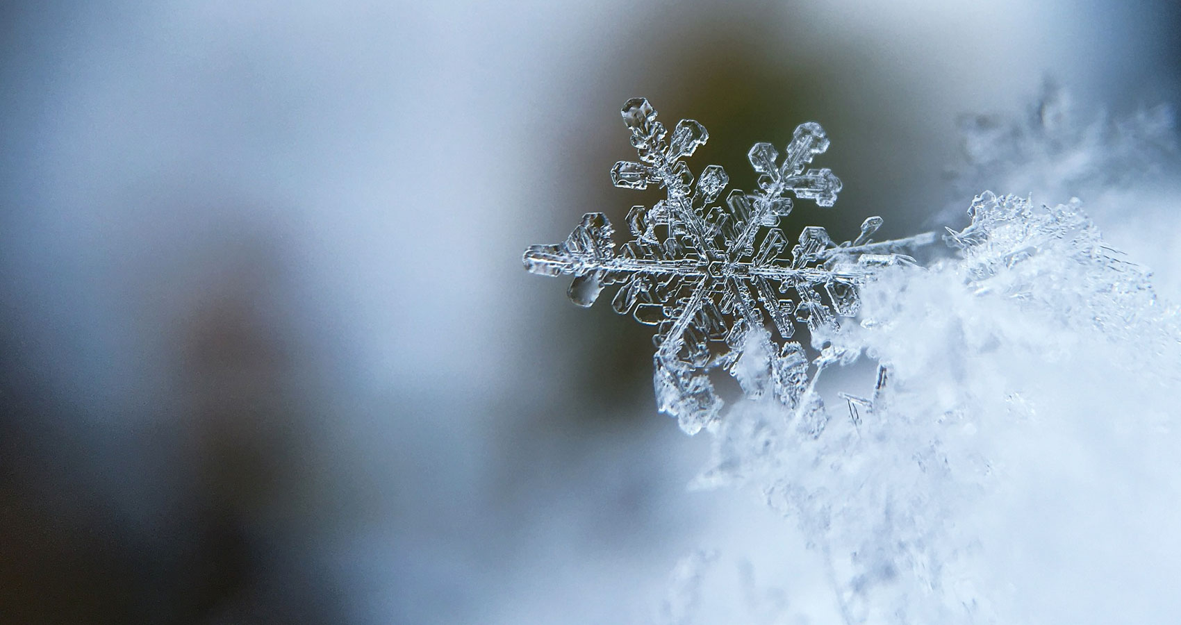 Winter's Purity, poetry written by Boris Simonovski at Spillwords.com