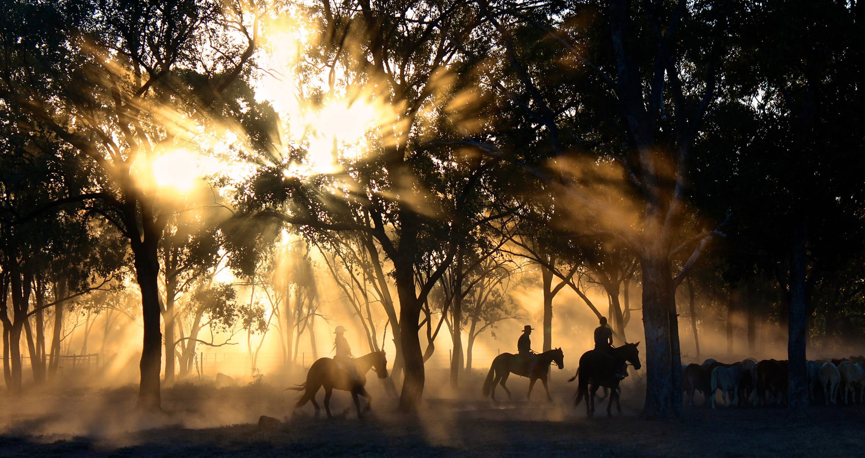 Clancy of The Overflow, a poem by Banjo Paterson at Spillwords.com