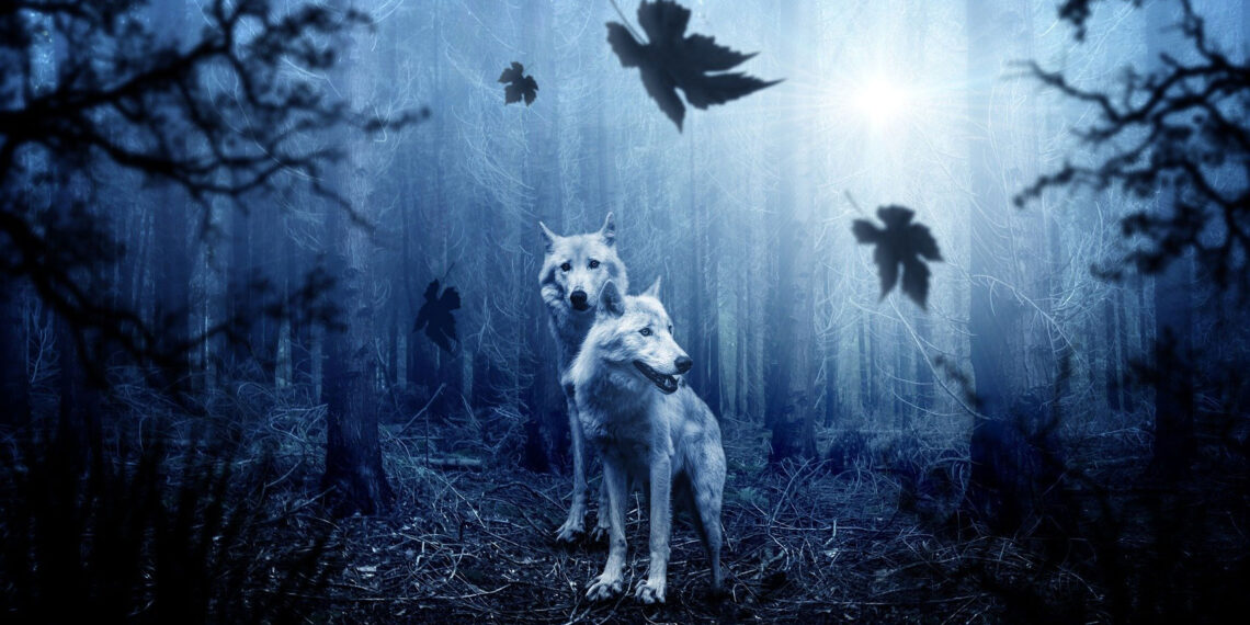 Blue Wolves Move In An Indigo Wood by Eric Robert Nolan at Spillwords.com