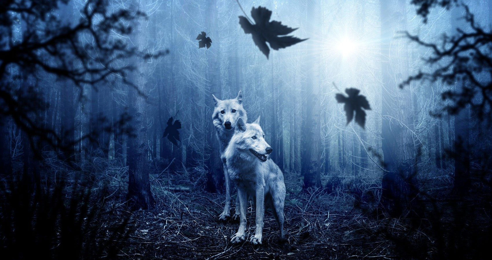 Blue Wolves Move In An Indigo Wood by Eric Robert Nolan at Spillwords.com