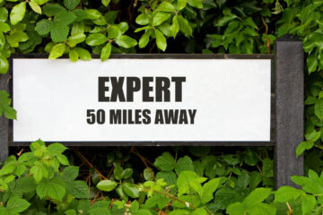 Expert From Fifty Miles Away, story by Anita G. Gorman at Spillwords.com
