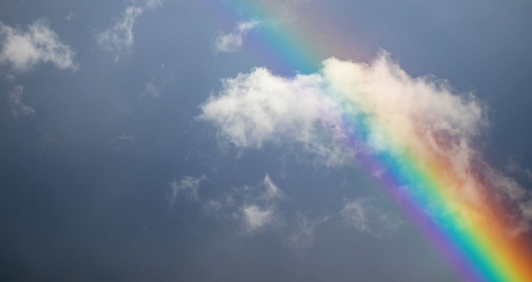 The Rainbow, a poem by Nancy Lou Henderson at Spillwords.com