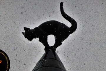 Cat Sith of Annan, poetry by Christina Ciufo at Spillwords.com