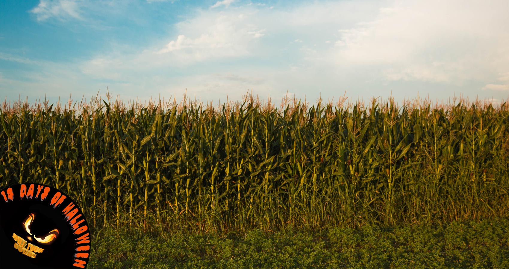 Spirit of The Corn, short story by Richard Prime at Spillwords.com