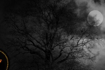 The Halloween Tree, poetry by Candice Pierce at Spillwords.com