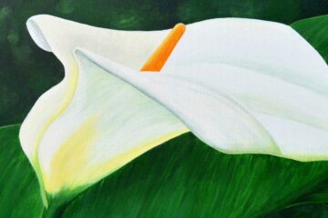 Calla Lilies, poetry written by Mark Tulin at Spillwords.com