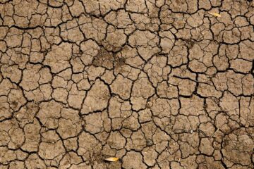 Drought, micropoetry written by Padmini Krishnan at Spillwords.com