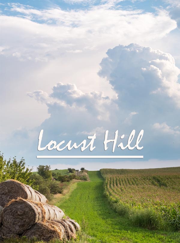 Locust Hill - series by Carl Parsons at Spillwords.com
