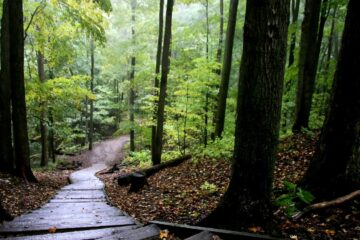 Maine Appalachian Trail Mystery, story by John R. Cobb at Spillwords.com