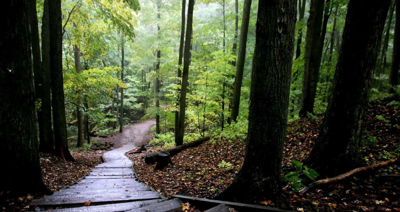 Maine Appalachian Trail Mystery, story by John R. Cobb at Spillwords.com