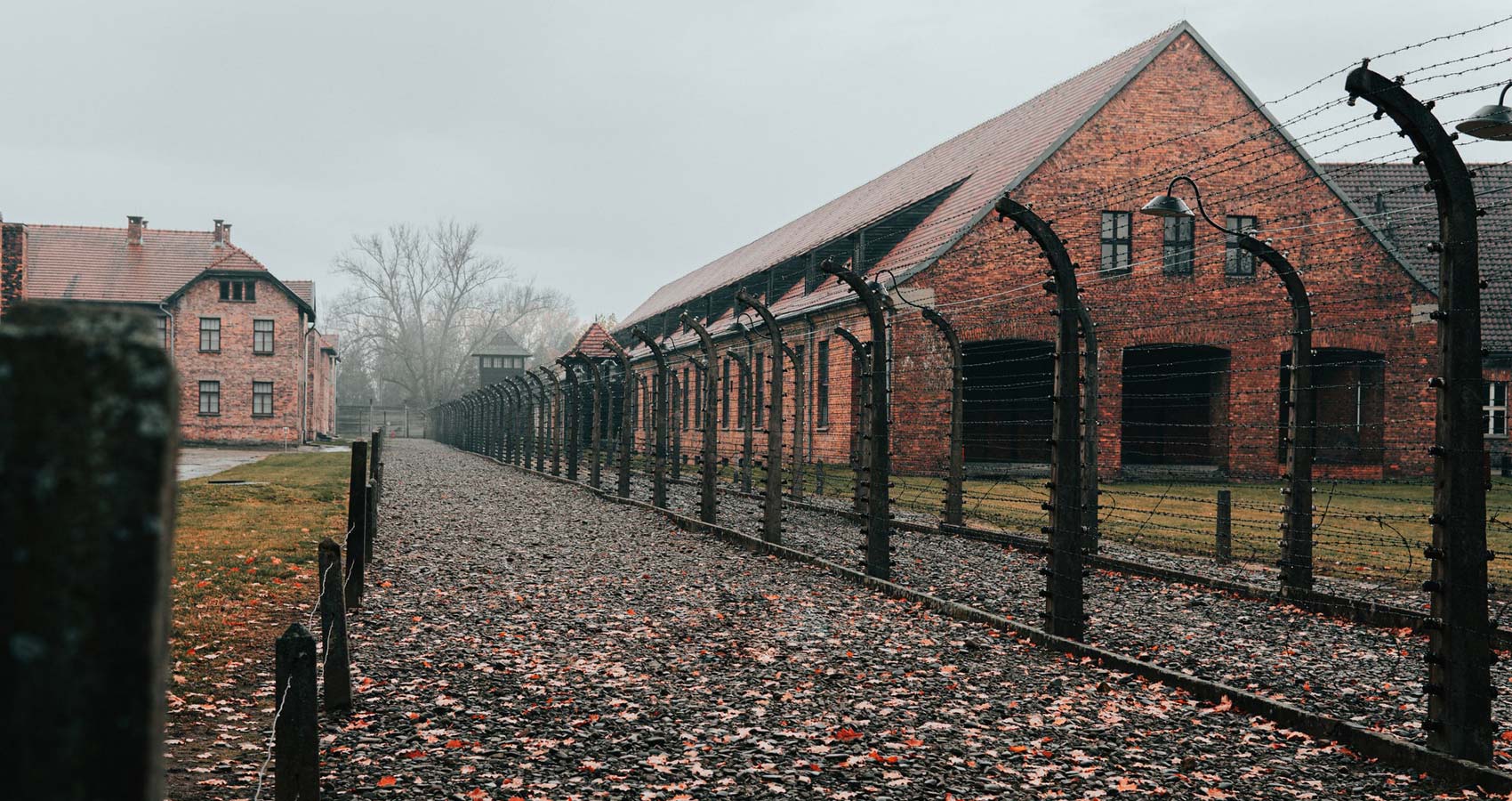 Nigdy Wiecej! - Śladami Auschwitz-Birkenau, a poem by Yvette Popławska at Spillwords.com