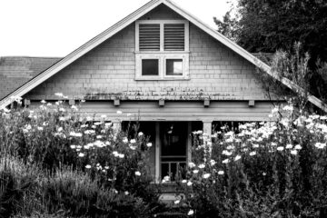 The Maple Cottage, short story by James Marchiori at Spillwords.com