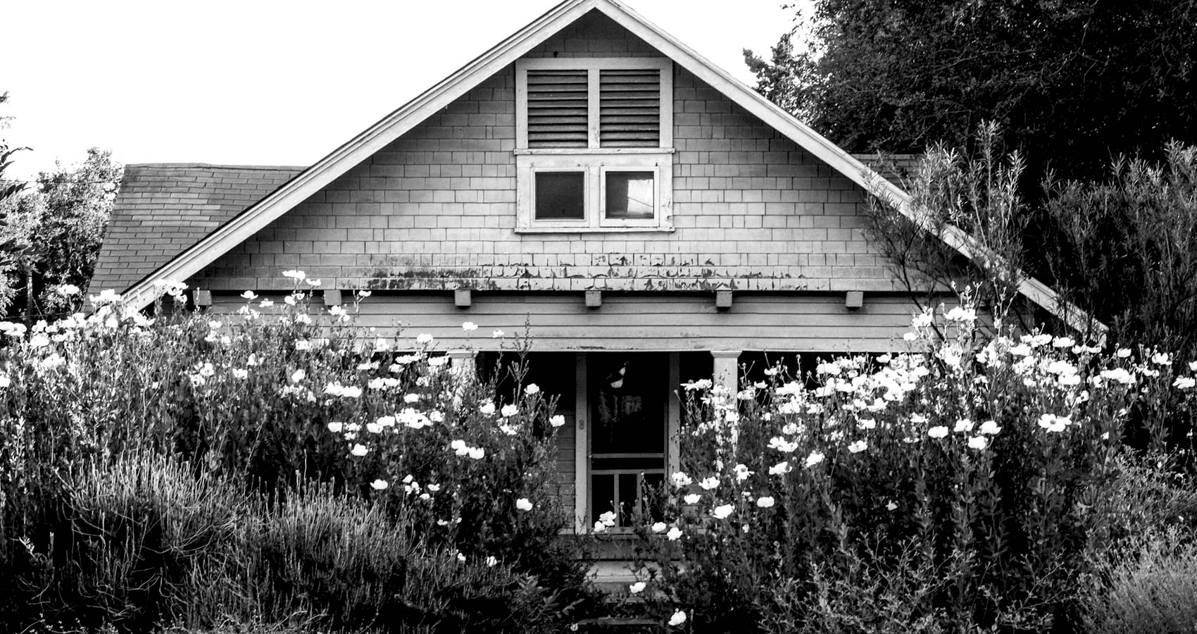 The Maple Cottage, short story by James Marchiori at Spillwords.com